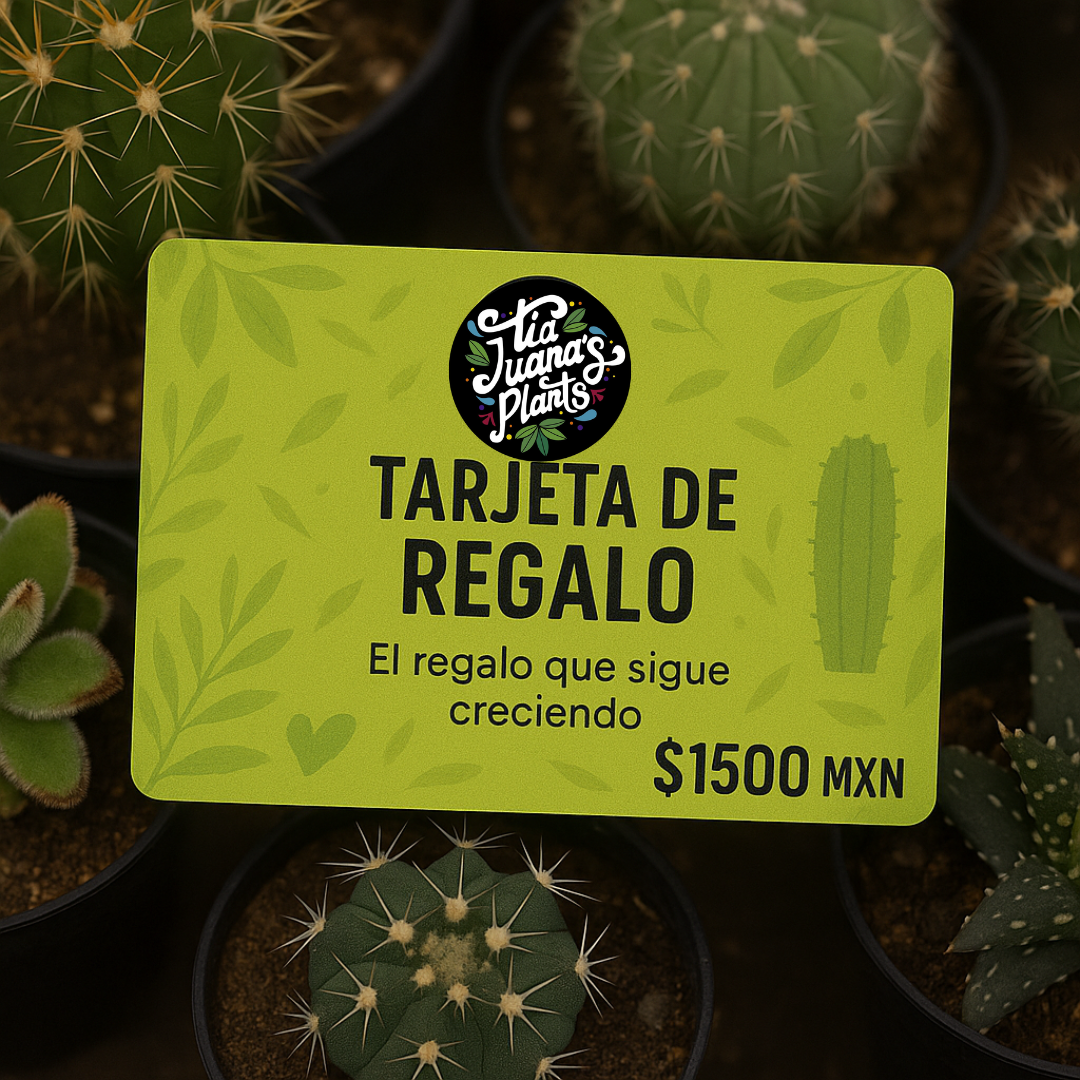 Tarjeta de Regalo TiaJuanas Plants