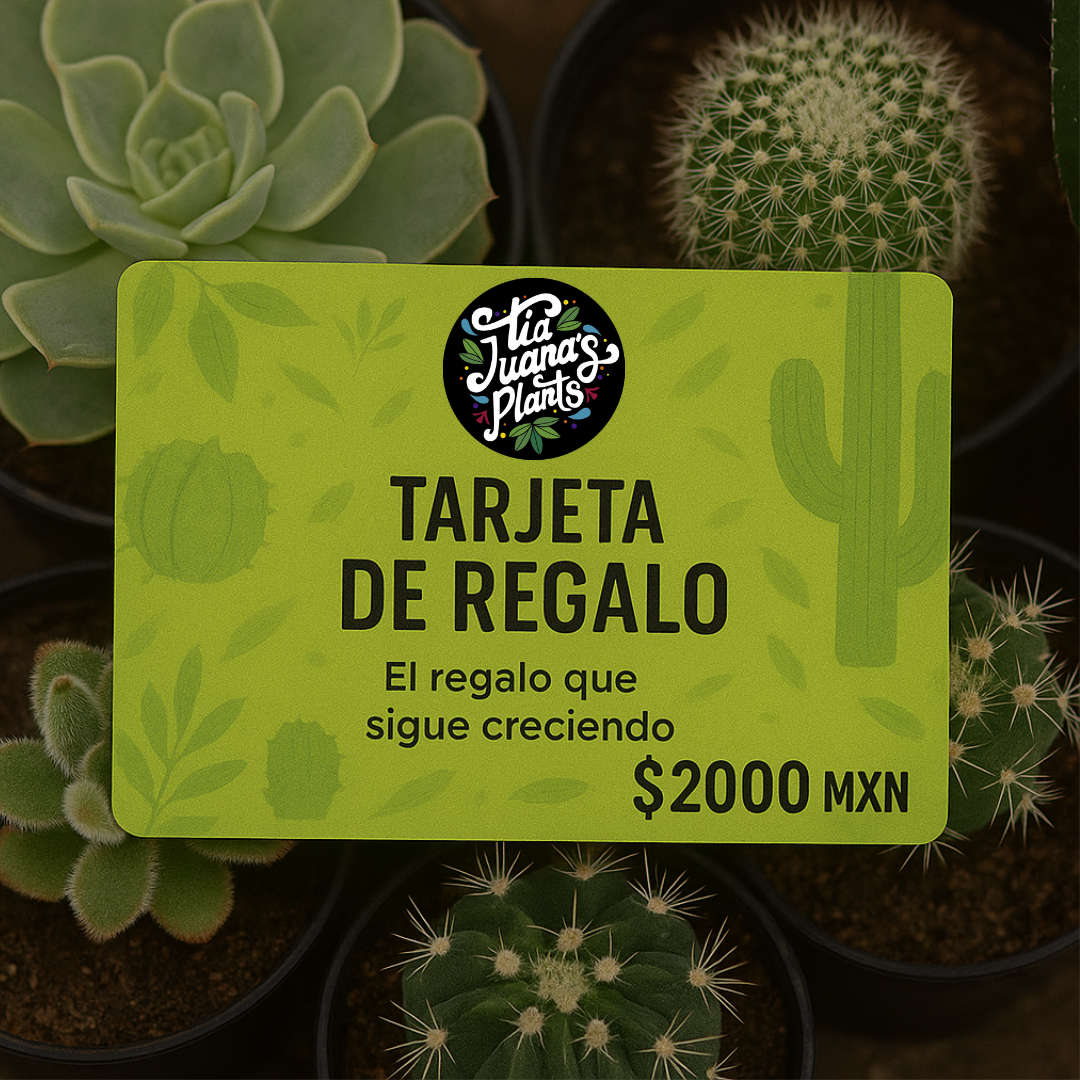 Tarjeta de Regalo TiaJuanas Plants
