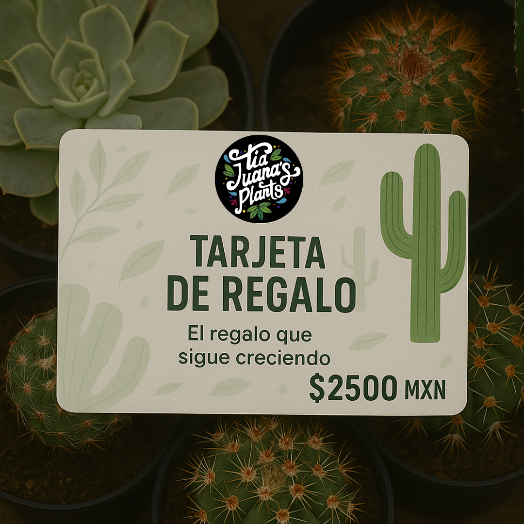 Tarjeta de Regalo TiaJuanas Plants