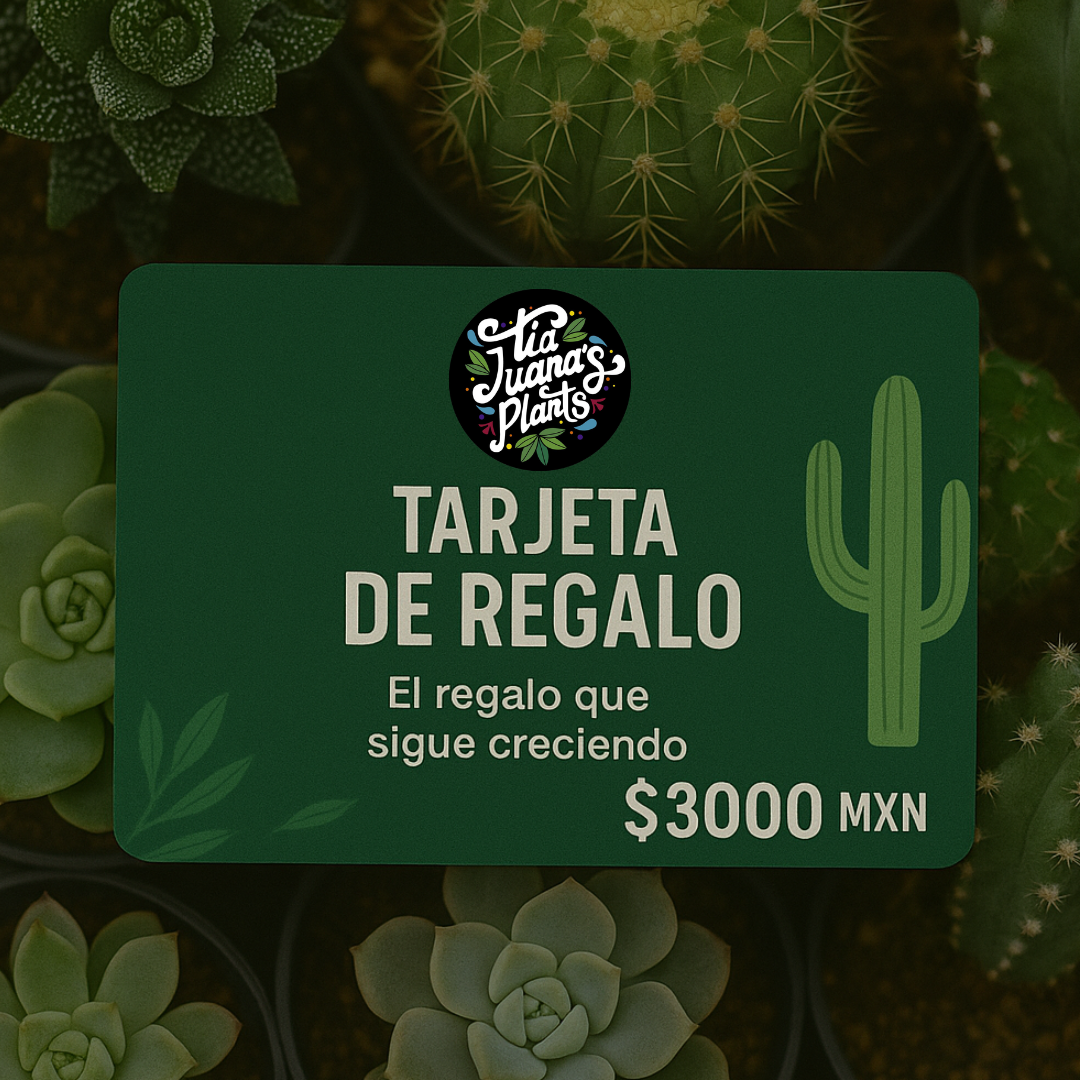 Tarjeta de Regalo TiaJuanas Plants