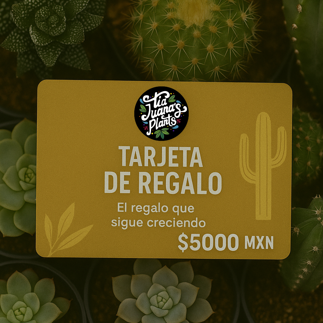 Tarjeta de Regalo TiaJuanas Plants