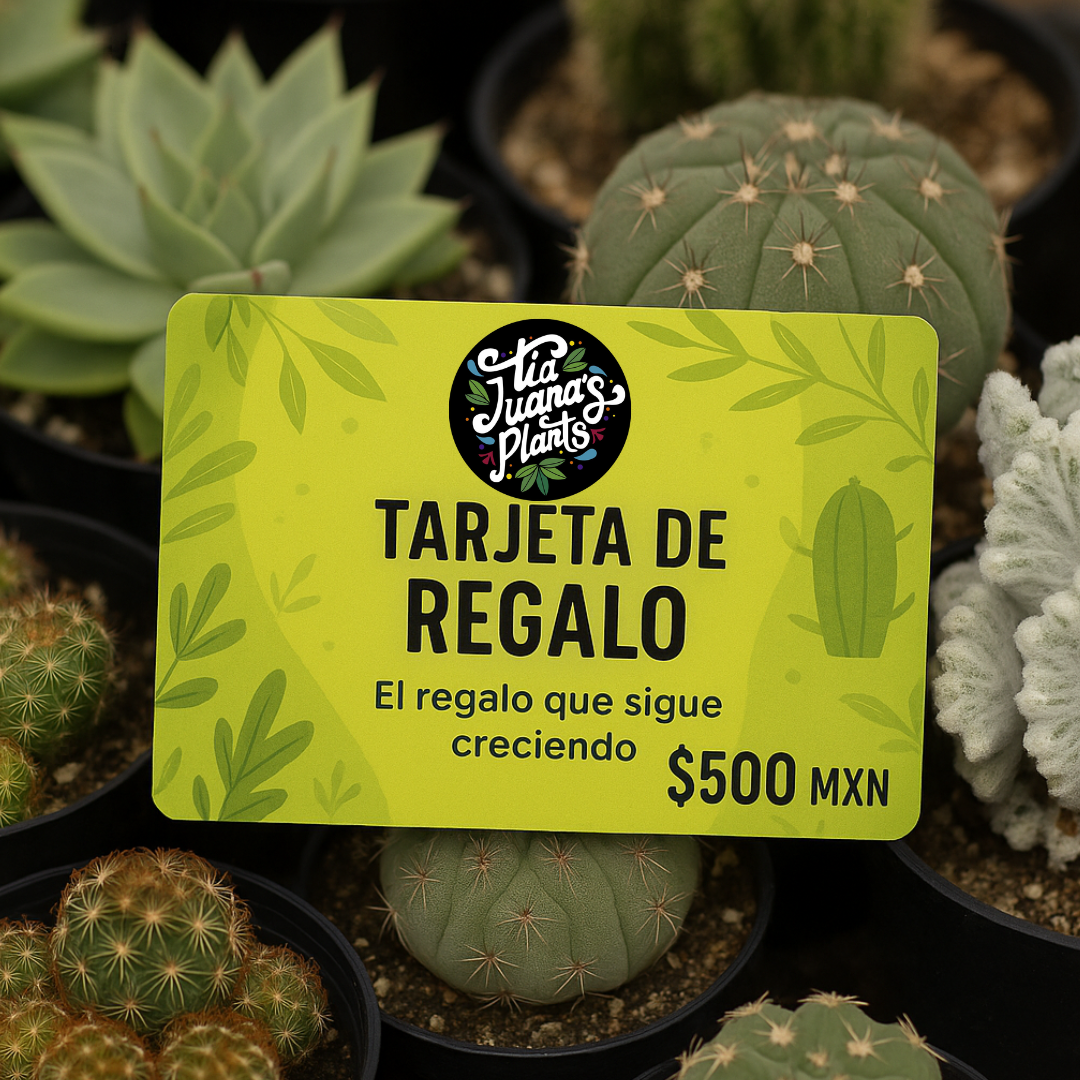 Tarjeta de Regalo TiaJuanas Plants