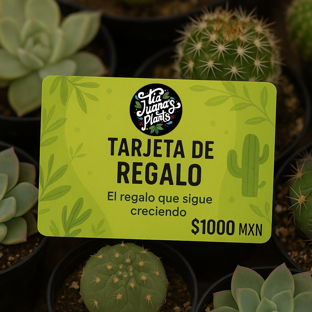 Tarjeta de Regalo TiaJuanas Plants