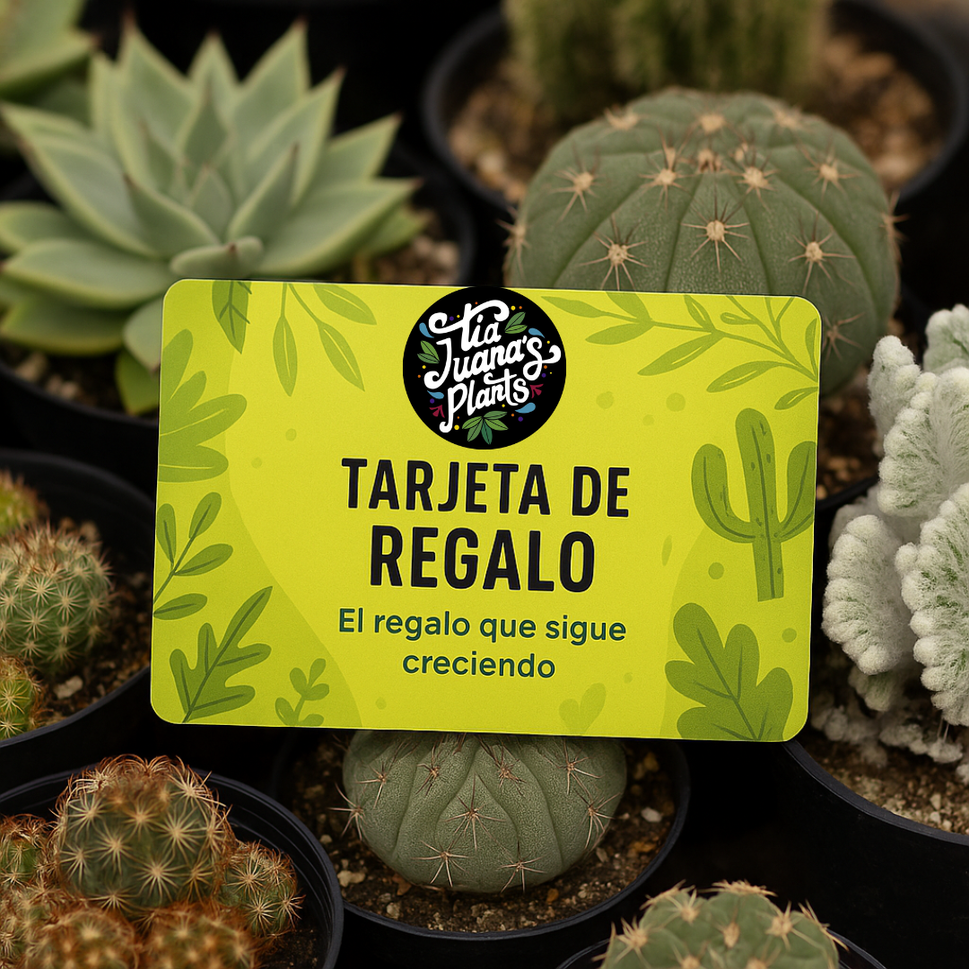 Tarjeta de Regalo TiaJuanas Plants
