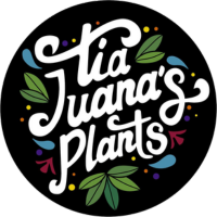 TiaJuanas Plants México